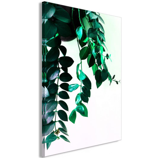 Leinwandbild Nature