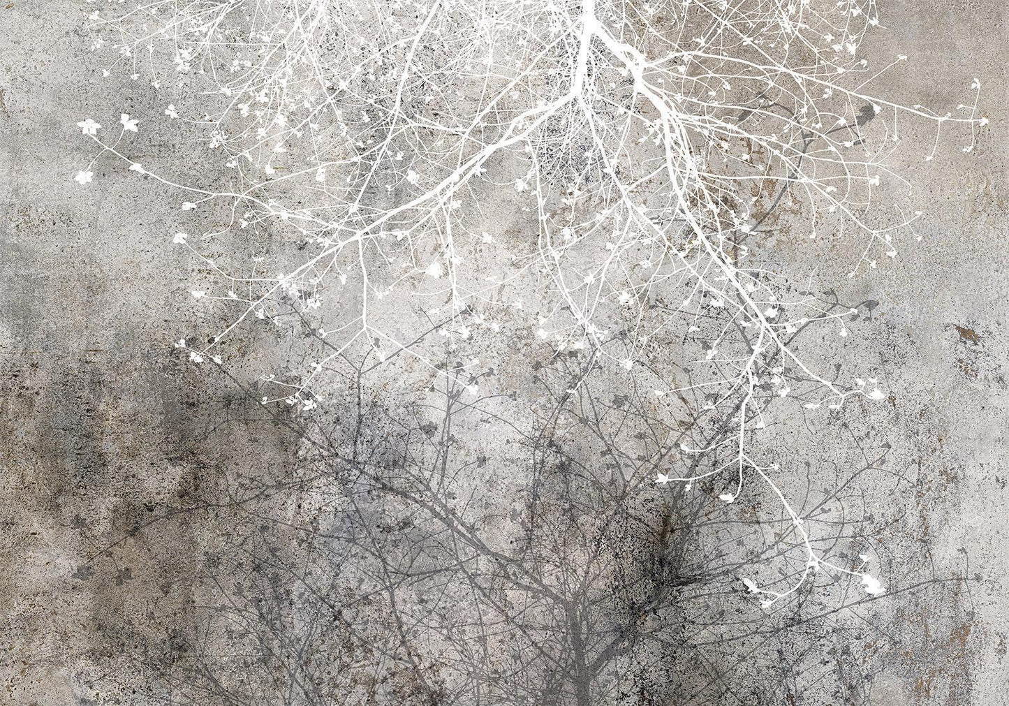 Fototapete - Clear Branching Artgeist