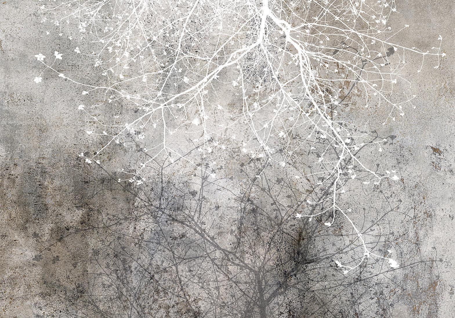 Fototapete - Clear Branching Artgeist