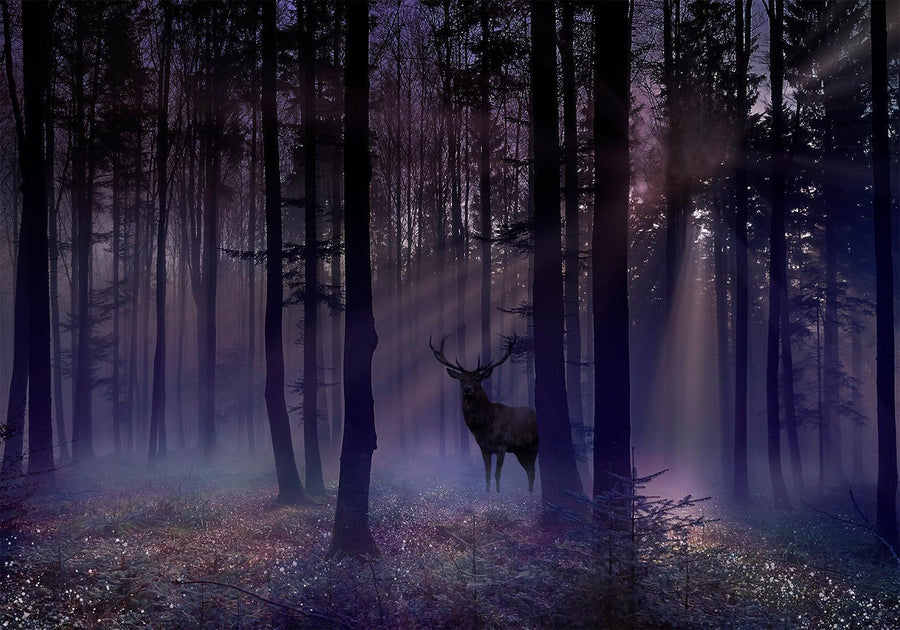 Fototapete - Mystical Forest - Second Variant Artgeist