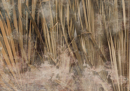 Fototapete - Dry leaves - landscape of tall grasses in boho style with paint patterns Artgeist