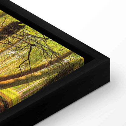 Leinwandbild Herbstträume – Stimmungsvolle Naturkunst in warmen Farben