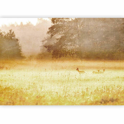 Fototapete - Morning Dew Artgeist