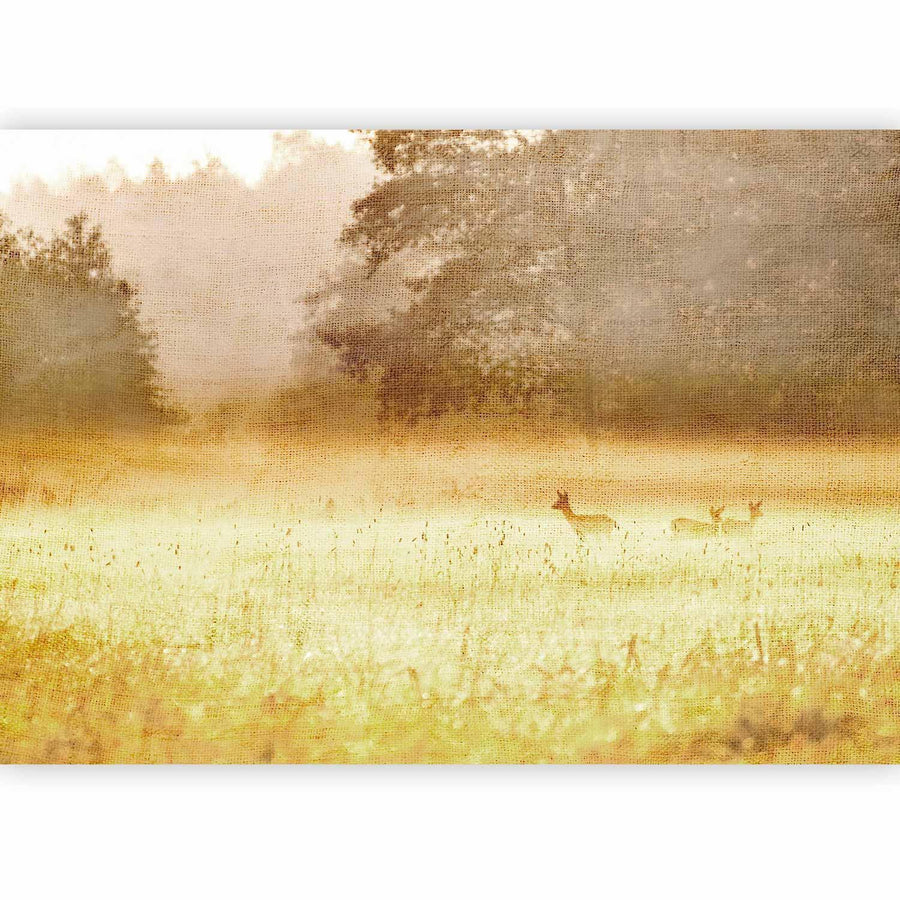Fototapete - Morning Dew Artgeist