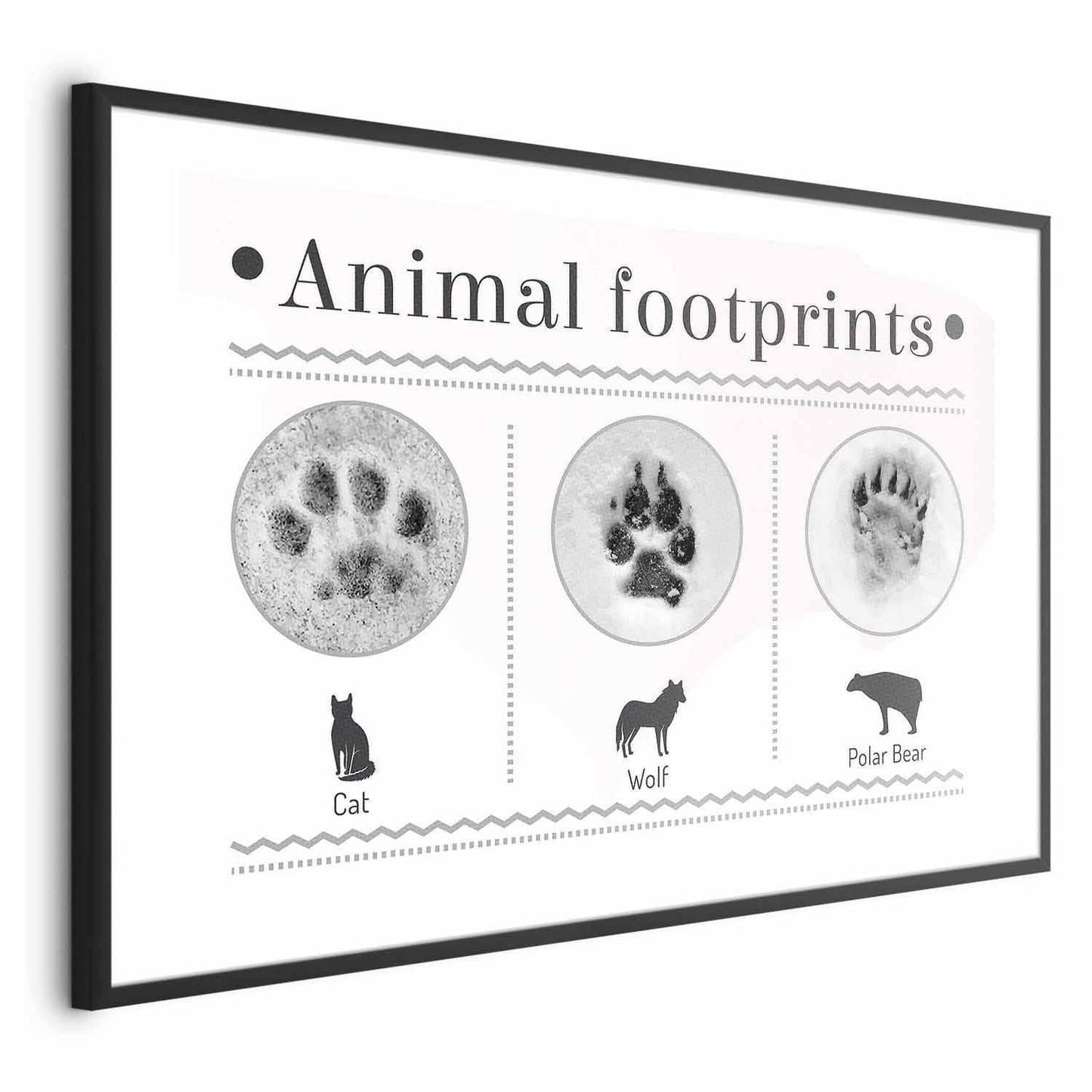 Animal footprint poster including cat, wolf, and polar bear paw prints in simple frame.