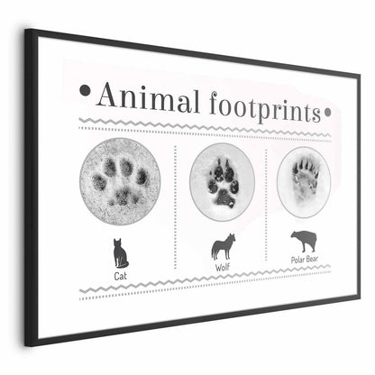 Animal footprint poster including cat, wolf, and polar bear paw prints in simple frame.