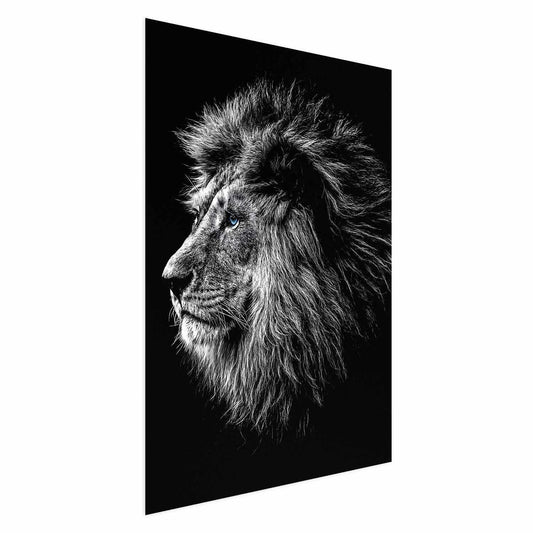 Poster - Blue-eyed Lion Artgeist