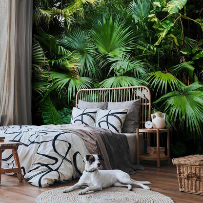 Fototapete - Sunny Jungle
