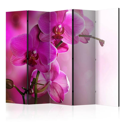 Paravent - Pink orchid II Artgeist