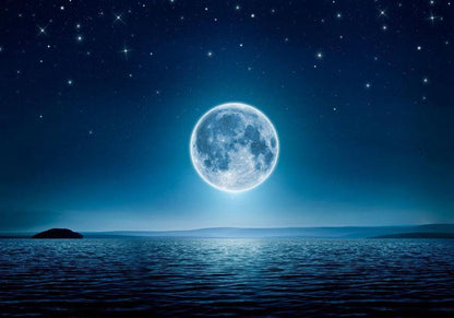 Fototapete - Moonlit night Artgeist