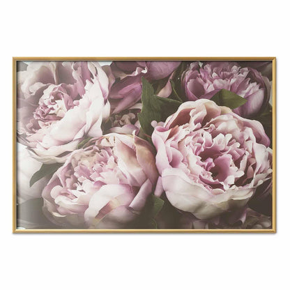 Poster - Pink Peonies