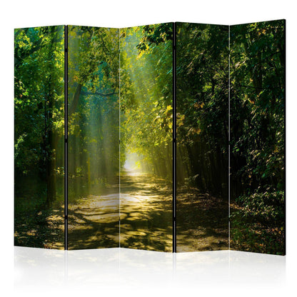 Paravent - Road in Sunlight II Artgeist