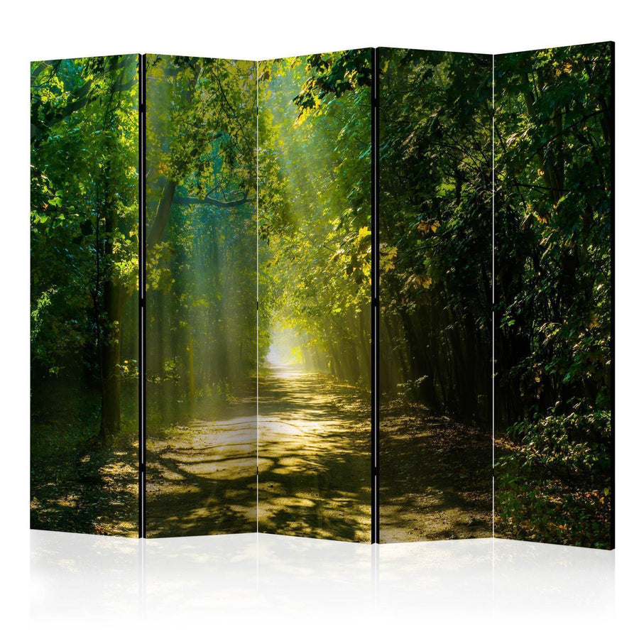 Paravent - Road in Sunlight II Artgeist