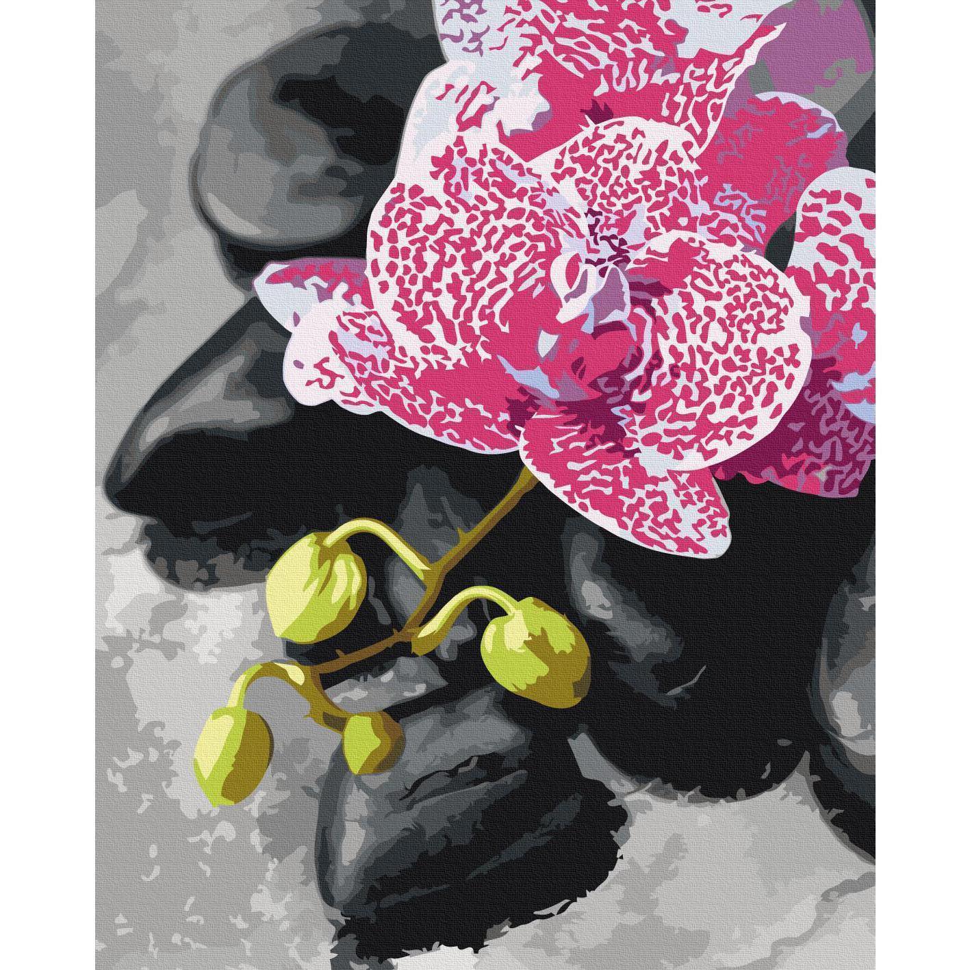 Malen nach Zahlen - Pink Orchid