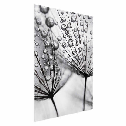 Poster - Macro Dew Artgeist