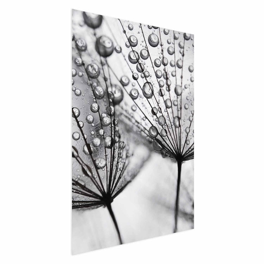 Poster - Macro Dew Artgeist