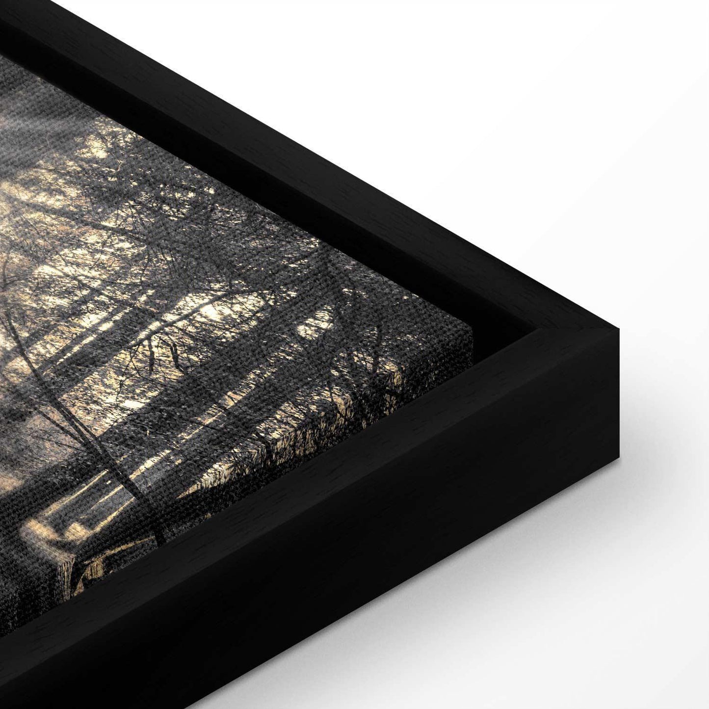 Leinwandbild - Forest Sun