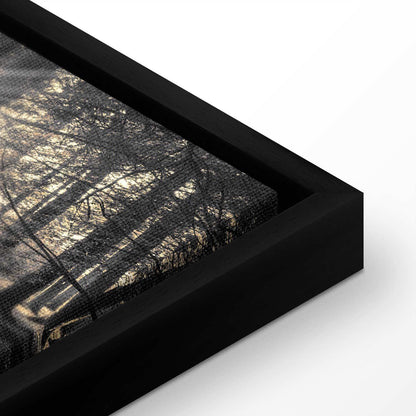 Leinwandbild - Forest Sun