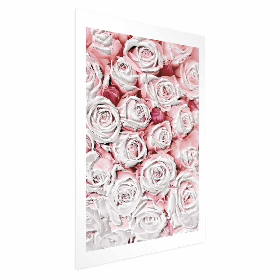 Poster - White Roses Artgeist