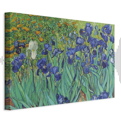 Leinwandbild - Vincent Van Gogh – Iryses