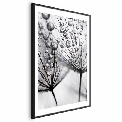 Poster - Macro Dew Artgeist