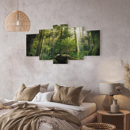 Leinwandbild - The Beauty of the Forest