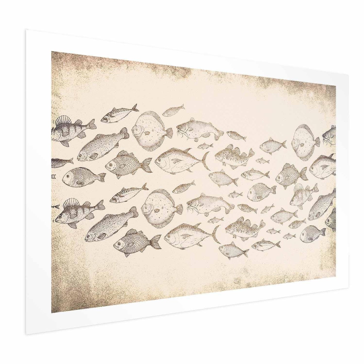 Poster - Subtle Little Fish