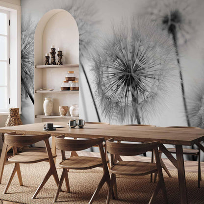 Fototapete - Time for Dandelions - Second Variant