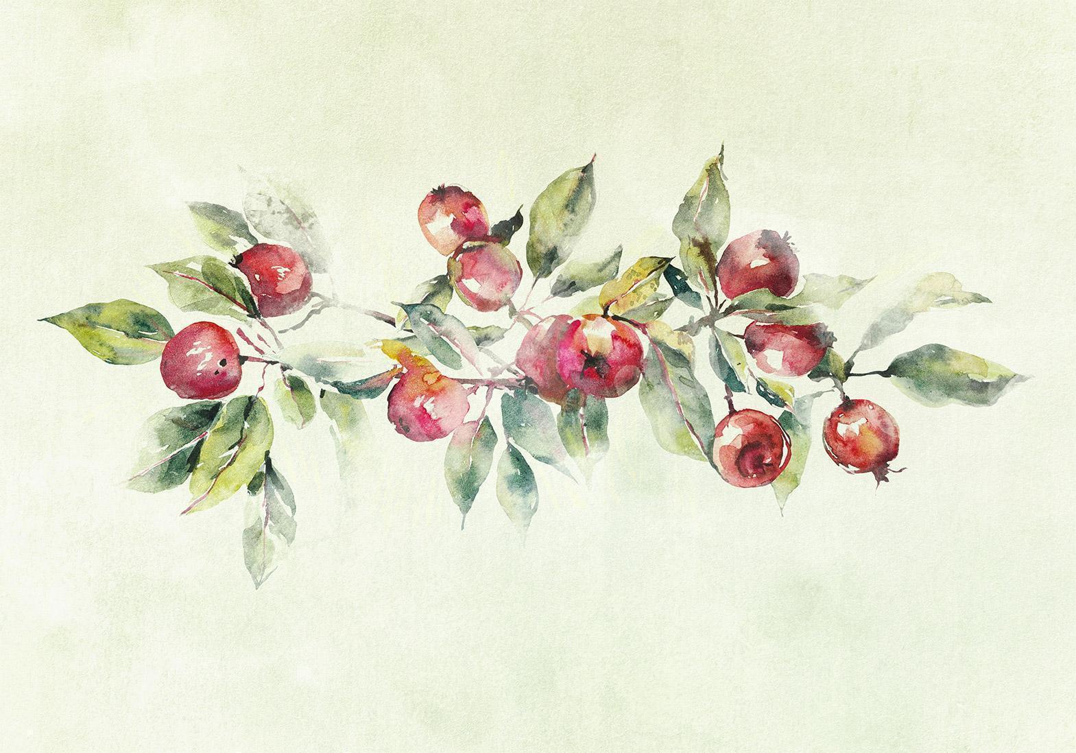 Fototapete - Apple branch - delicate landscape with a plant and apples on a white background Artgeist