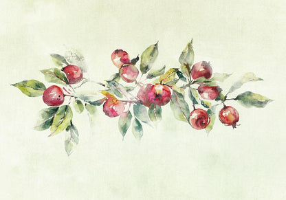 Fototapete - Apple branch - delicate landscape with a plant and apples on a white background Artgeist