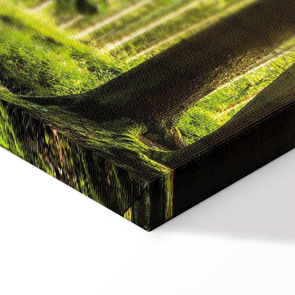 Leinwandbild - Sunlight