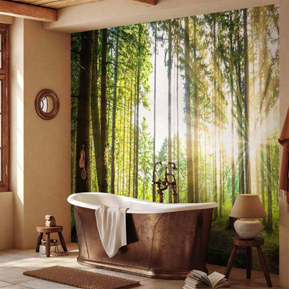 Fototapete - Forest Tales