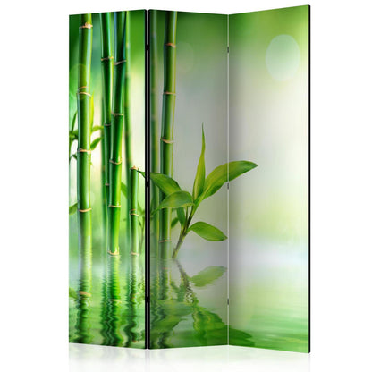 Paravent - Green Bamboo Artgeist