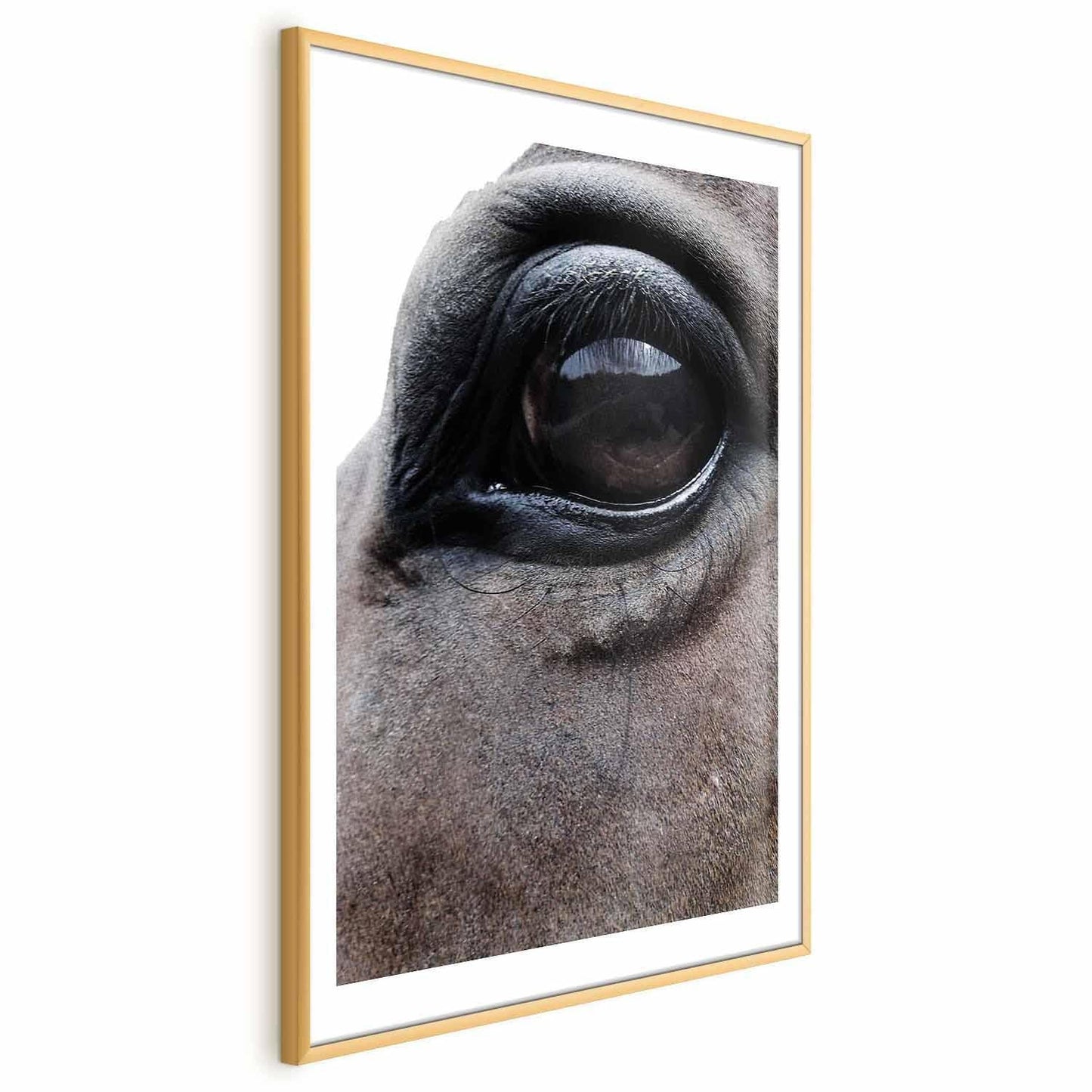 Poster - Honest Eyes Artgeist