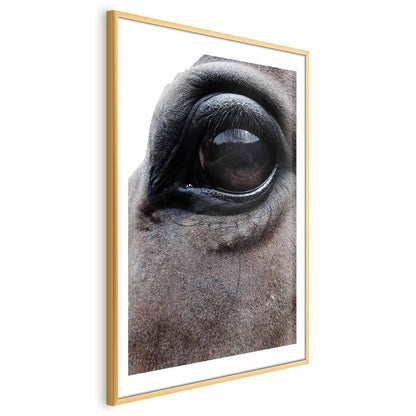 Poster - Honest Eyes Artgeist