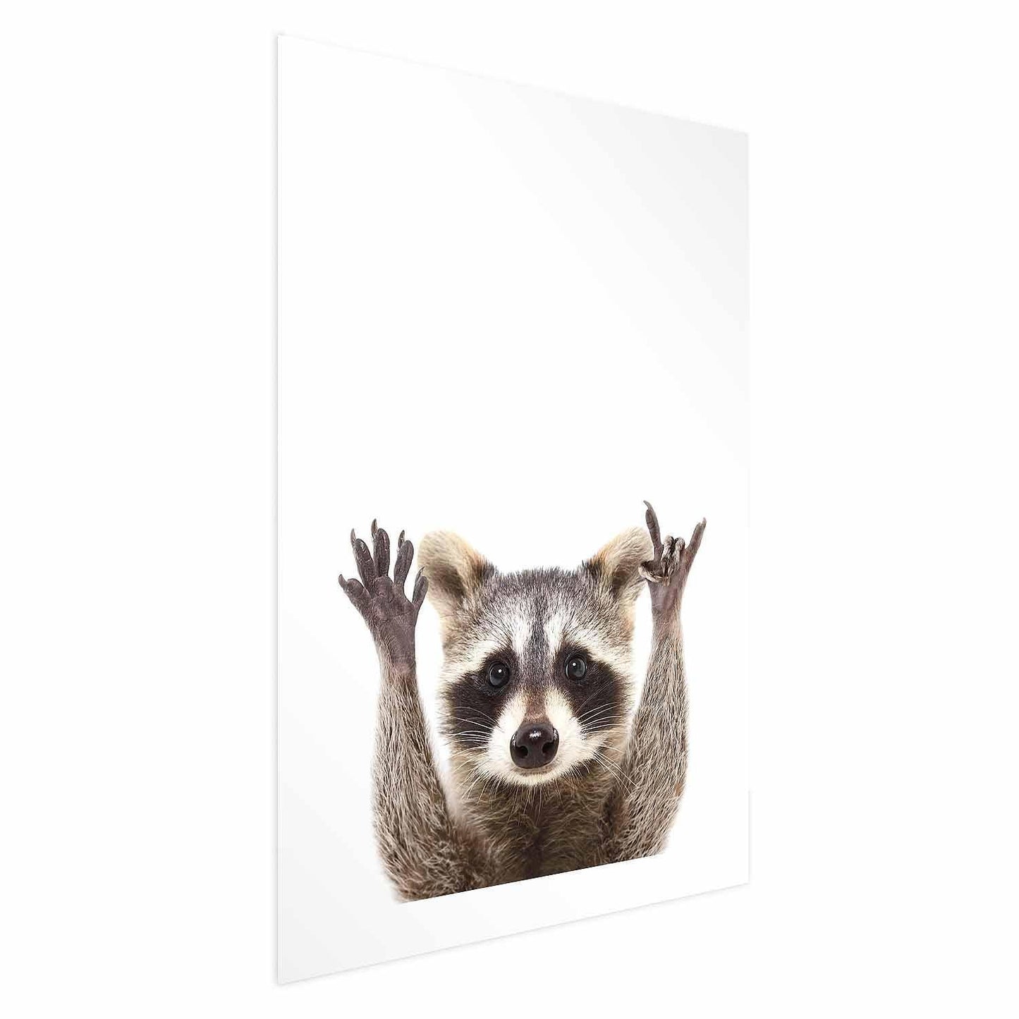 Poster - Raccoon Artgeist
