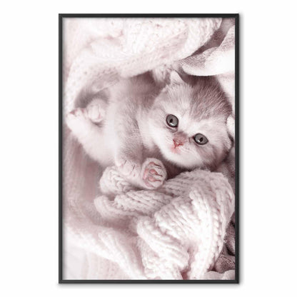 Poster - Lover of Rest