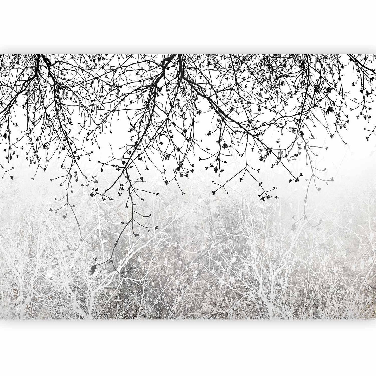 Fototapete - Natural Brightness