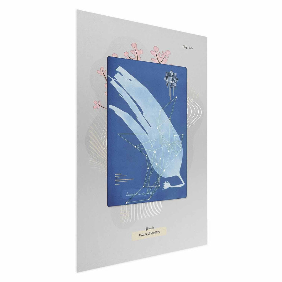 Poster „Algen“ – Natürliches Wandposter in neutralen Tönen