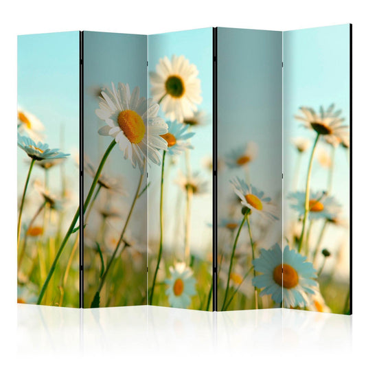Paravent - Daisies - spring meadow II Artgeist