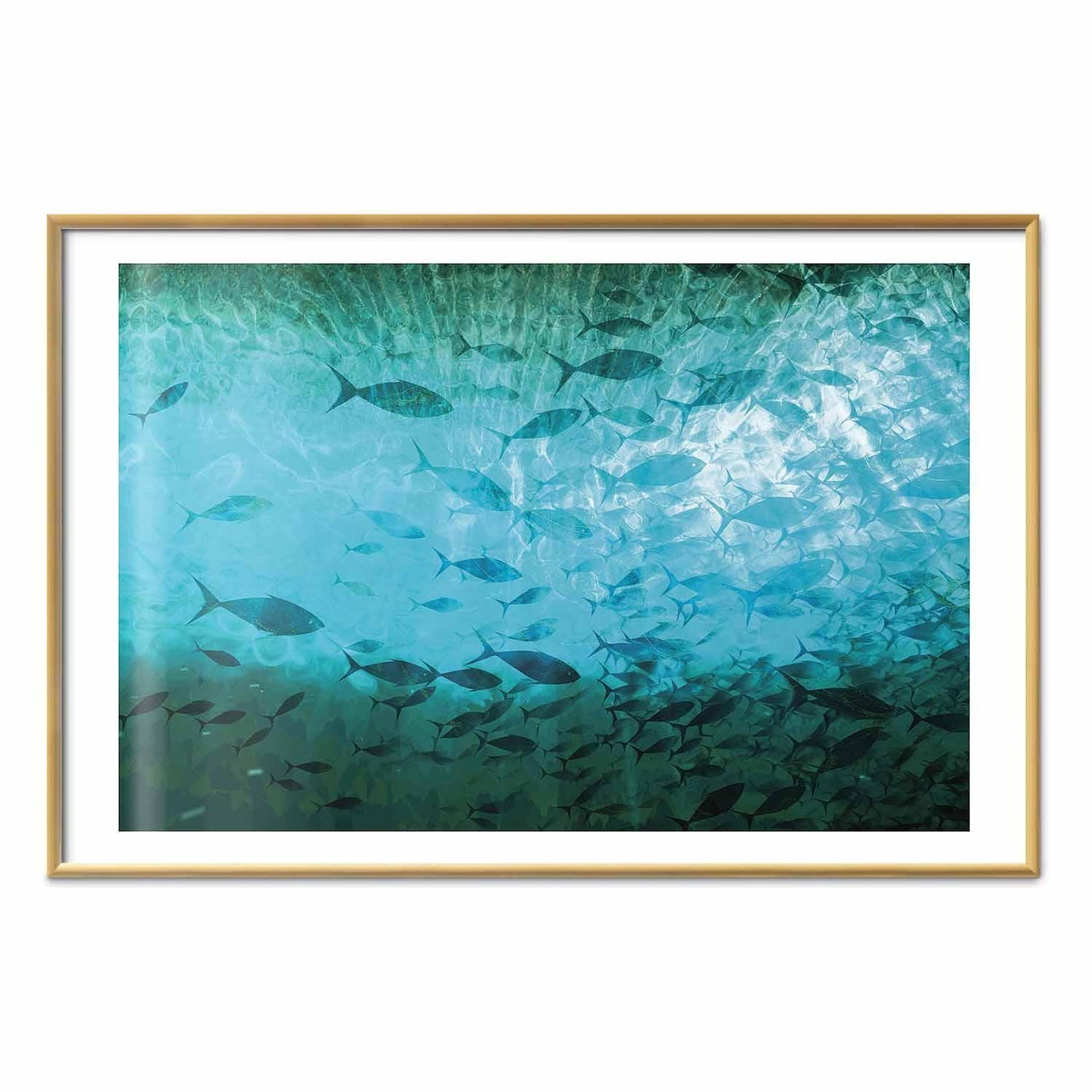 Poster - Group of Dark Fish