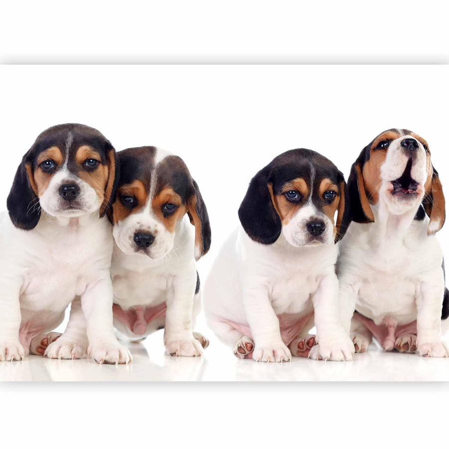 Fototapete „Sad Puppies“ – Süße Hundewelpen mit Herzblick