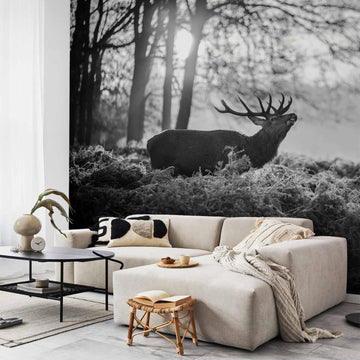 Fototapete - Deers in the Morning Artgeist