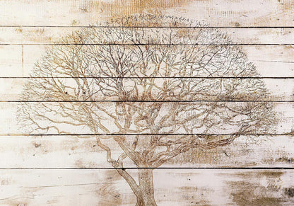 Fototapete - Tree on Boards Artgeist