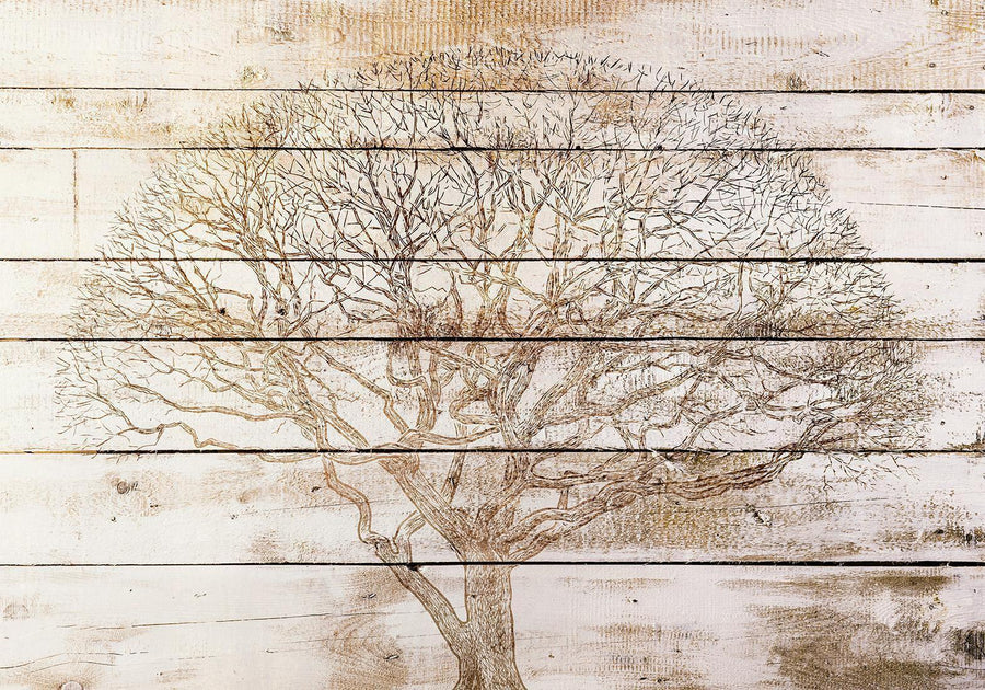 Fototapete - Tree on Boards Artgeist