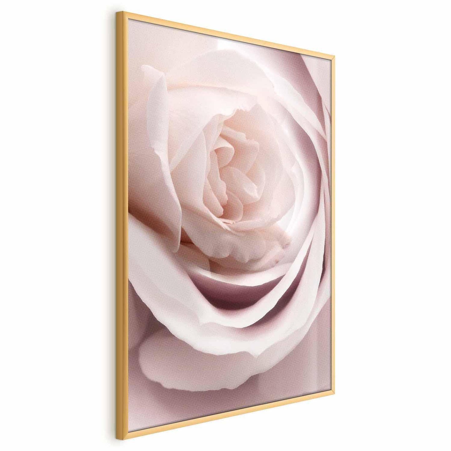 Poster Porzellan-Rose – Zarte Eleganz in Rosé