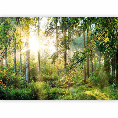 Grüne und erdige Farben auf ungezähmter Landschaft

