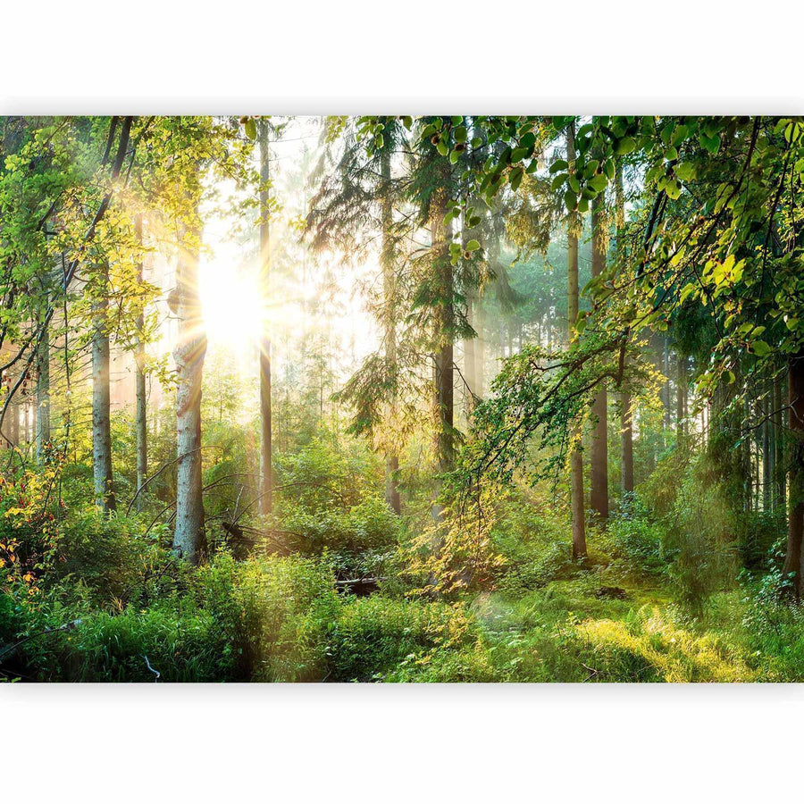 Grüne und erdige Farben auf ungezähmter Landschaft

