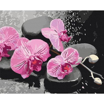 Malen nach Zahlen - Orchid With Zen Stones (Black Background)