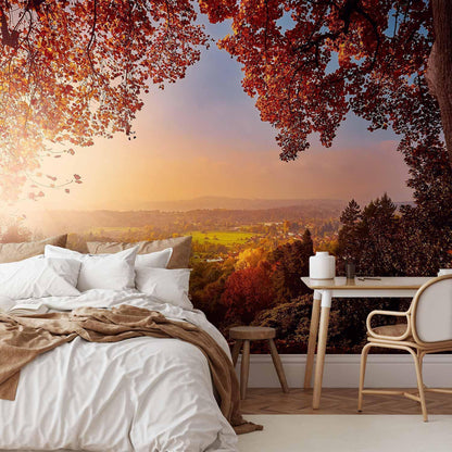 Fototapete - Autumn delight - sunny landscape with countryside surrounded by trees and fields Artgeist